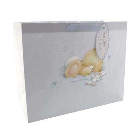 Large Baby Boy Forever Friends Gift Bag